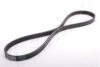 ASHIKA 112-4PK840 V-Ribbed Belts